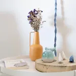 Casa Minke Portimão