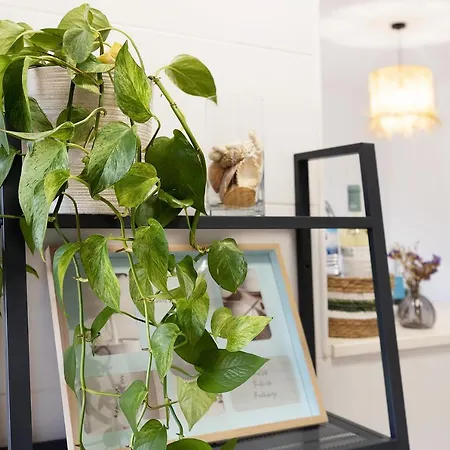 Casa Minke Apartment